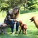 Promenade avec les chiens!