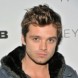 Political Animals