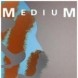 Sondage MediuM